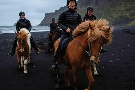Exploring the Beauty of RV Horse Adventures